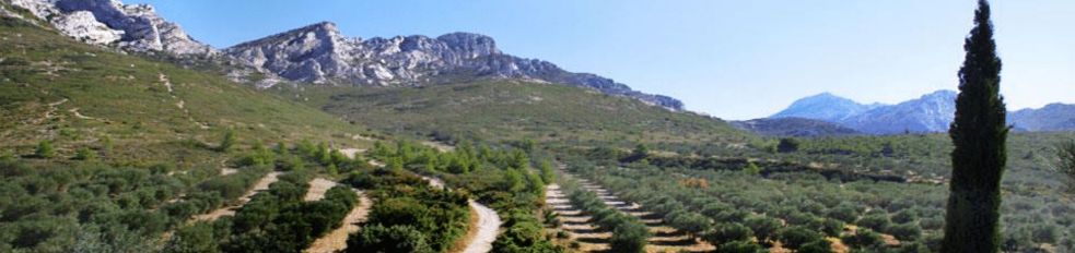 Road trip moto guidé Corse Provence