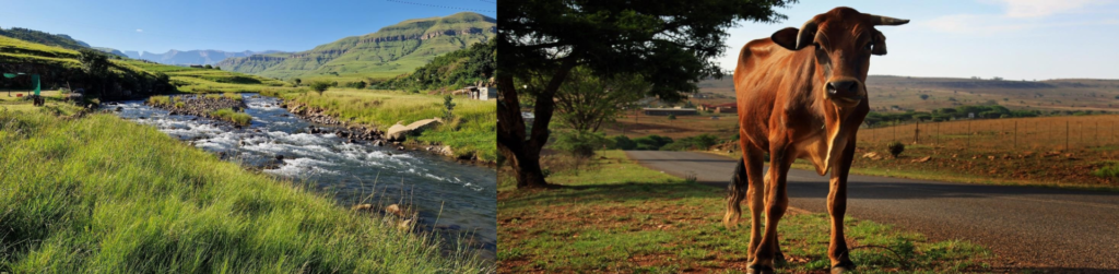 Voyage moto guidé en Afrique du Sud